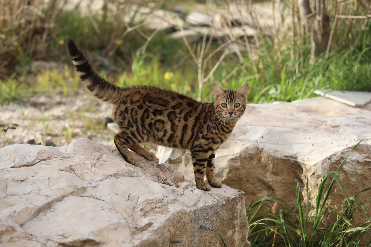 債務整理で失敗しないために知っておくべきポイントは？