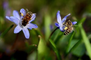 債務整理の体験談から学ぶべき参考にすべきことは？