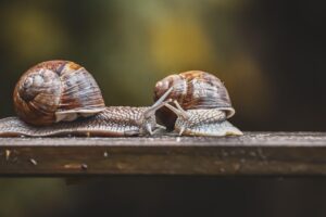 債務整理の申込み前に必ず確認しておくべきポイントは？