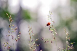 債務整理の注意点を知っておくべき理由とは？